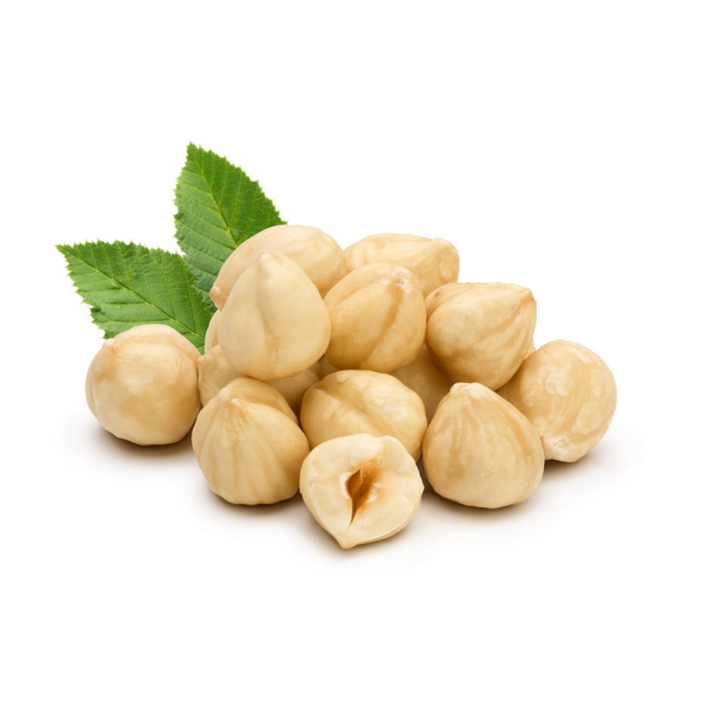 HAZELNUT - WHOLESALE NATURAL ROASTED HAZELNUT